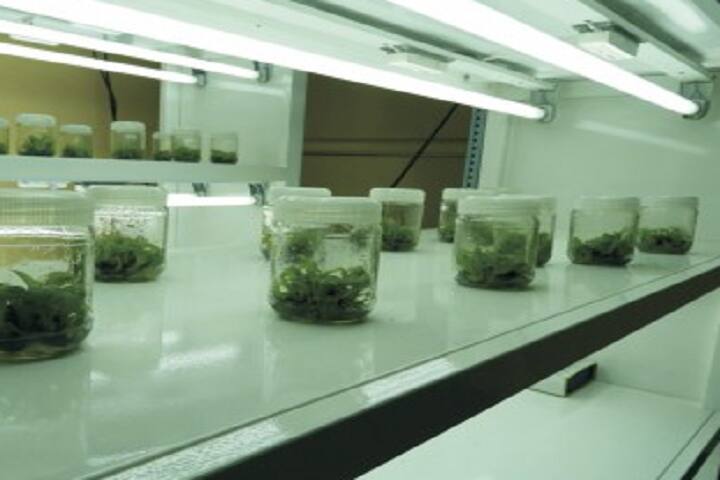 Yashodeep Samajik Vikas Sanstha's College of Agricultural Biotechnology, Saralgaon campus photo 4