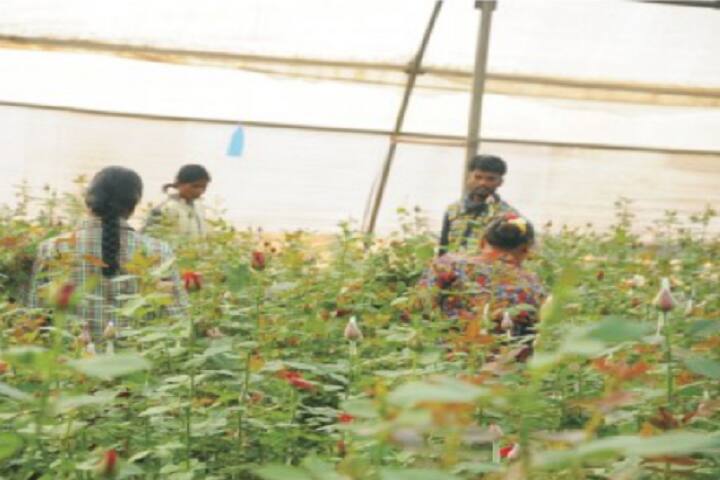 Yashodeep Samajik Vikas Sanstha's College of Agricultural Biotechnology, Saralgaon campus photo 5