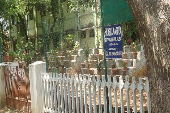 Government Unani Medical College, Chennai campus photo 4
