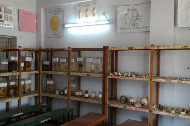 Government Homoeopathic Medical College and Hospital, Madurai campus photo 2