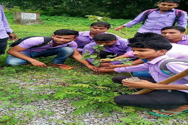 Samaguri College, Nagaon campus photo 2