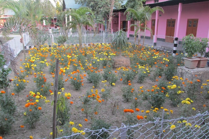 Nirmal Haloi College, Barpeta campus photo 2