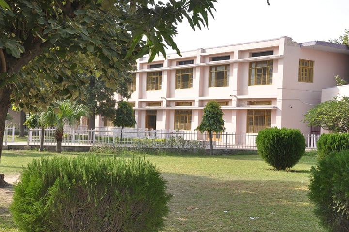 DAV College, Ambala campus photo 5