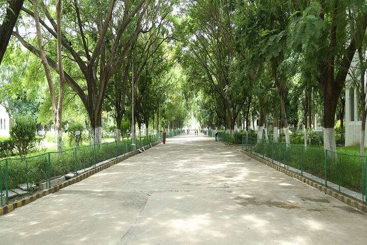 Panimalar Engineering College, Chennai campus photo 4