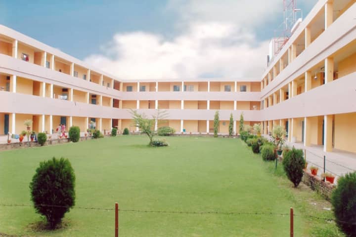 DAV College, Jalandhar campus photo 5