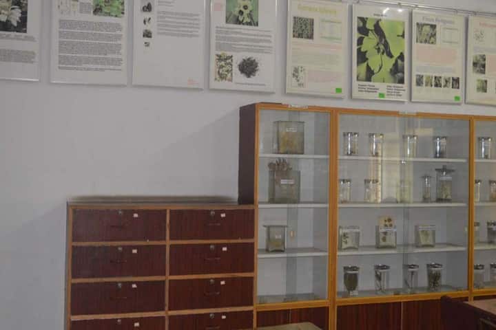 Government Homeopathic Medical College and Hospital, Bangalore campus photo 3