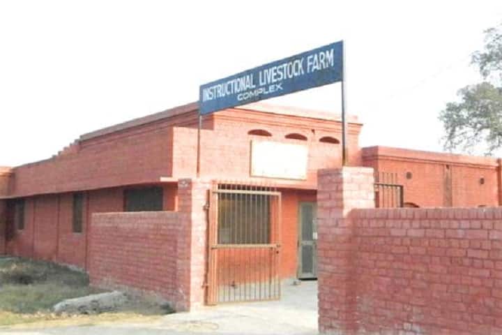 Khalsa College of Veterinary and Animal Science, Amritsar campus photo 6