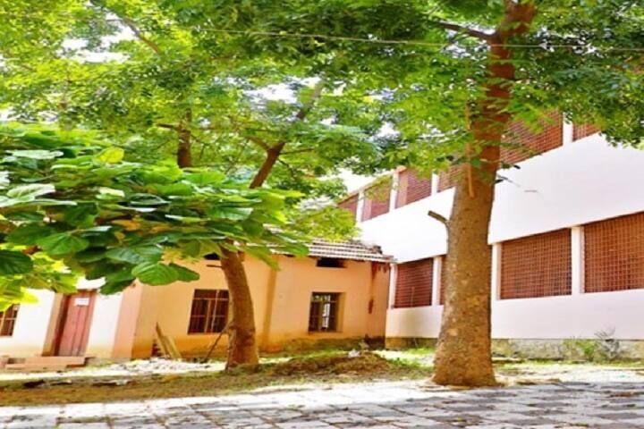 Sree Narayana College for Women, Kollam campus photo 6