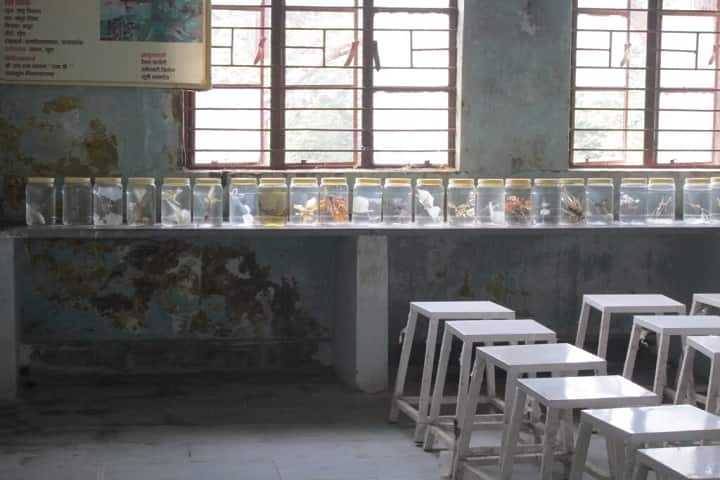 Government Autonomous Ayurveda College and Hospital, Rewa campus photo 5