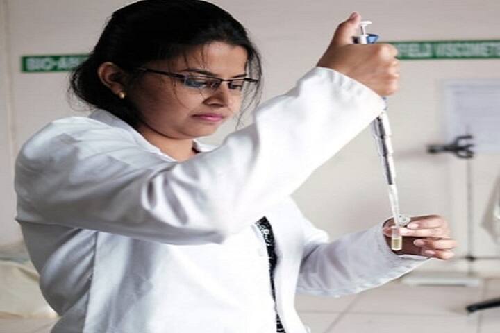 Shri Ramkrishna College of Pharmacy, Rewa campus photo 3
