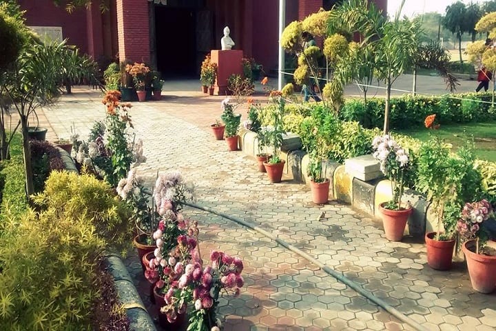 Vivekananda College, Delhi campus photo 4