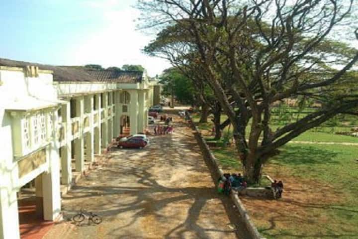Sanatana Dharma College, Alappuzha campus photo 3