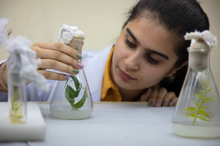 Chandigarh College of Hospitality, Mohali campus photo 2