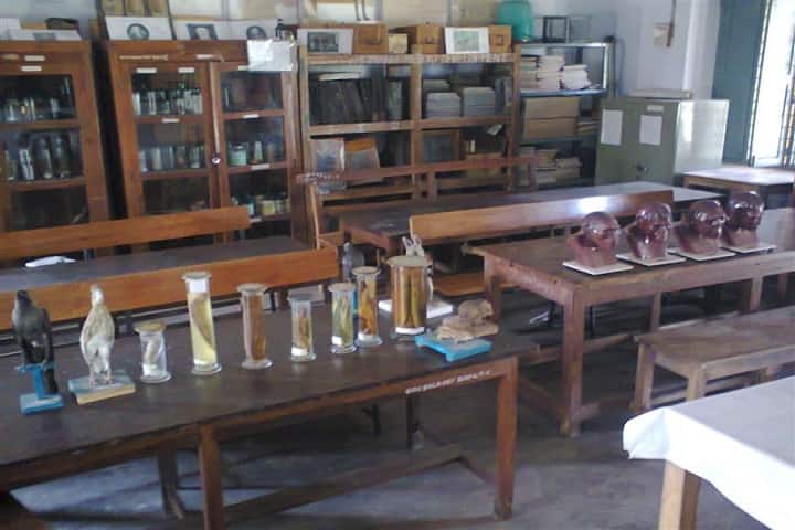 YVNR Government Degree College, Krishna campus photo 2