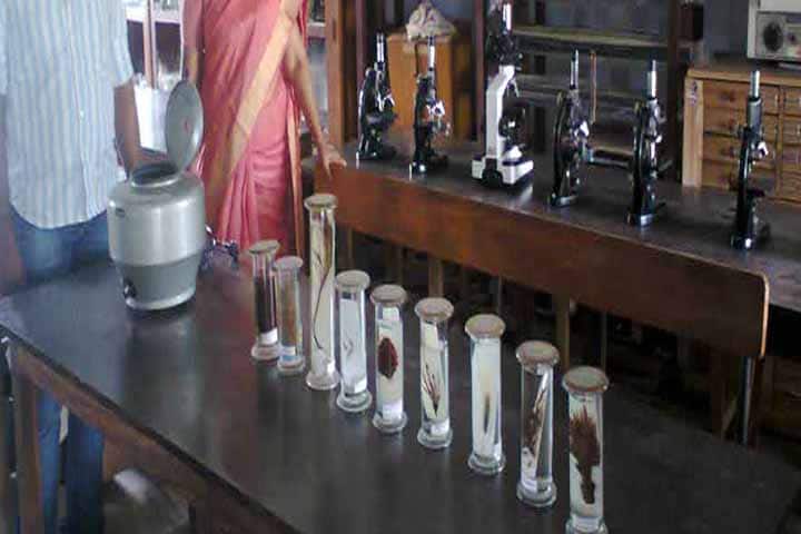 YVNR Government Degree College, Krishna campus photo 3