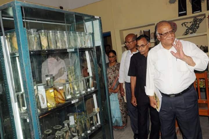 Krishnagar Government College, Nadia campus photo 5