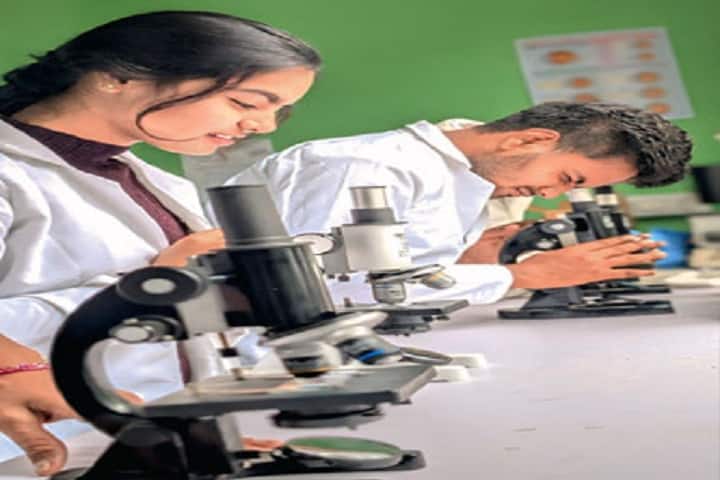 Mahatma Gandhi University, Soreng campus photo 5