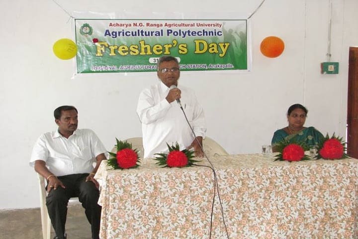 Agricultural Polytechnic, Anakapalle campus photo 4