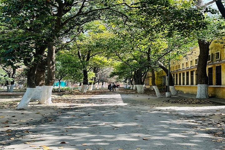 Government Ripudaman College, Nabha campus photo 2