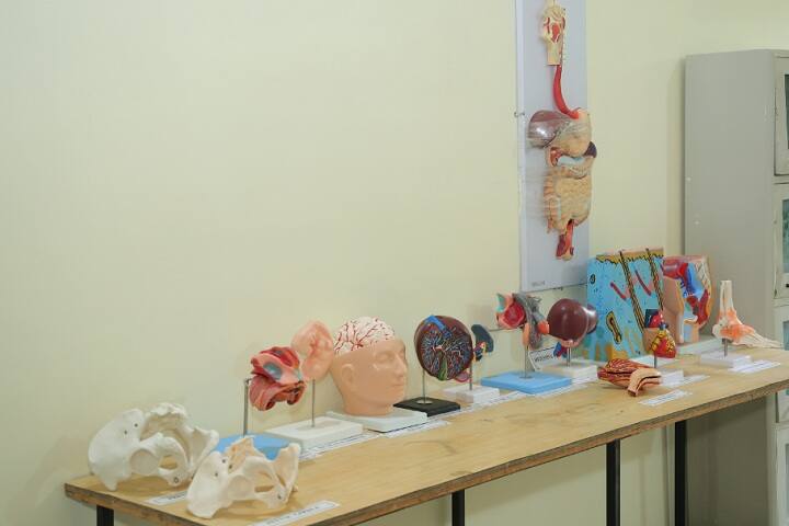 Takshashila Ayurved College, Hospital and Research Center, Washim campus photo 6