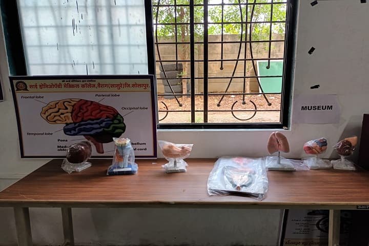 Sai Homoeopathy Medical College, Solapur campus photo 4