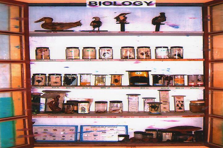 JSS College of Education, Bagalkot campus photo 4