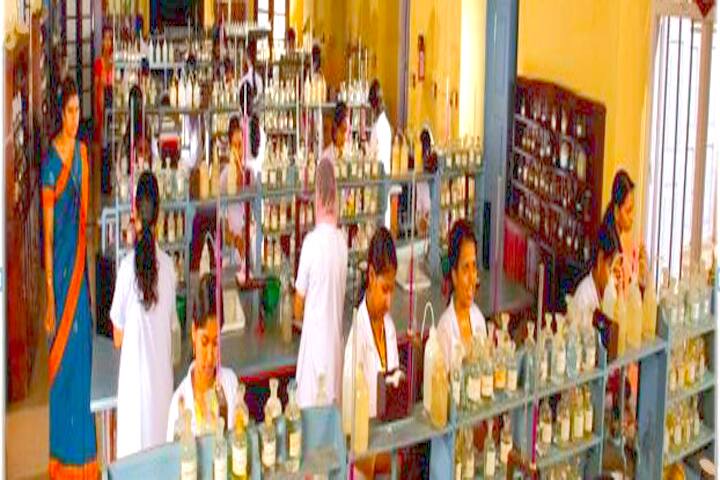 St Mary's College, Thrissur campus photo 4