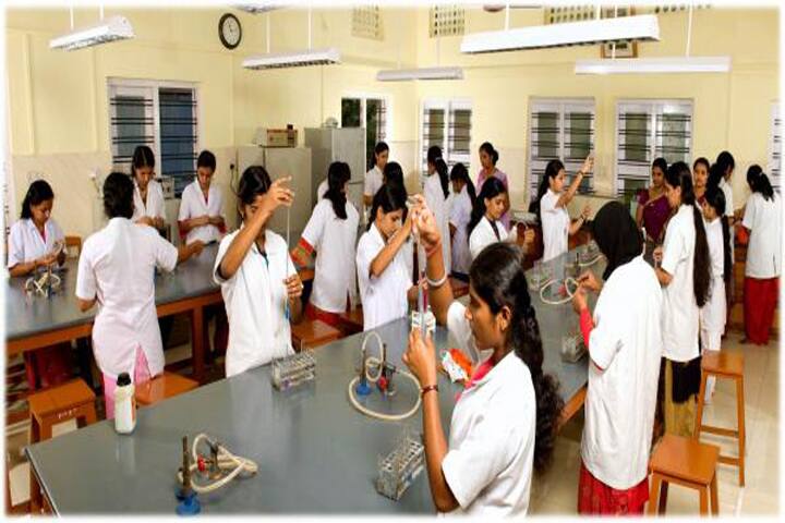 St Mary's College, Thrissur campus photo 5