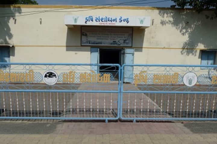 Lokbharati University for Rural Innovation, Bhavnagar campus photo 2