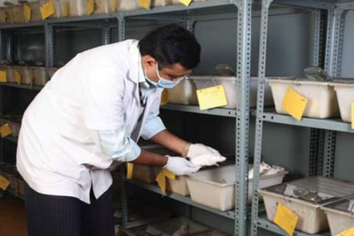 Al-Ameen College of Pharmacy, Bangalore campus photo 4
