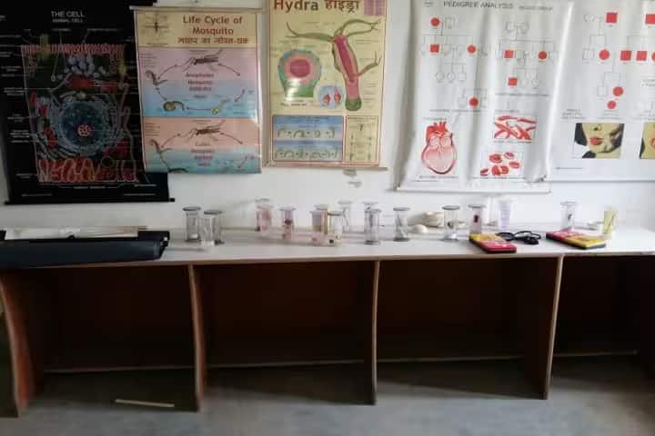 Subhash Chandra Bose College of Education, Madhepura campus photo 2