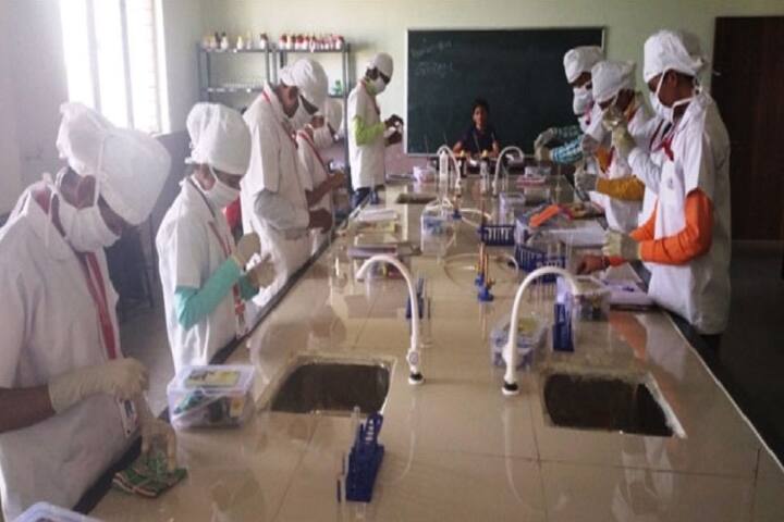 SR Institute of Diploma in Pharmacy, Latur campus photo 2