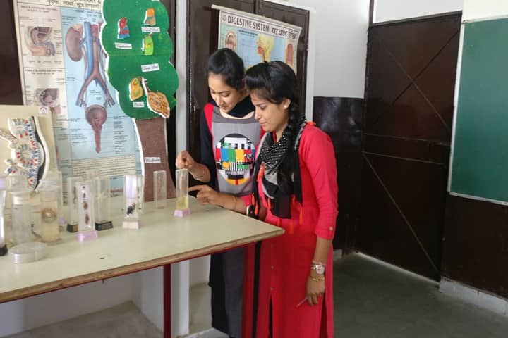 Swami Dayamuni Vidyapeeth College of Education, Rohtak campus photo 4