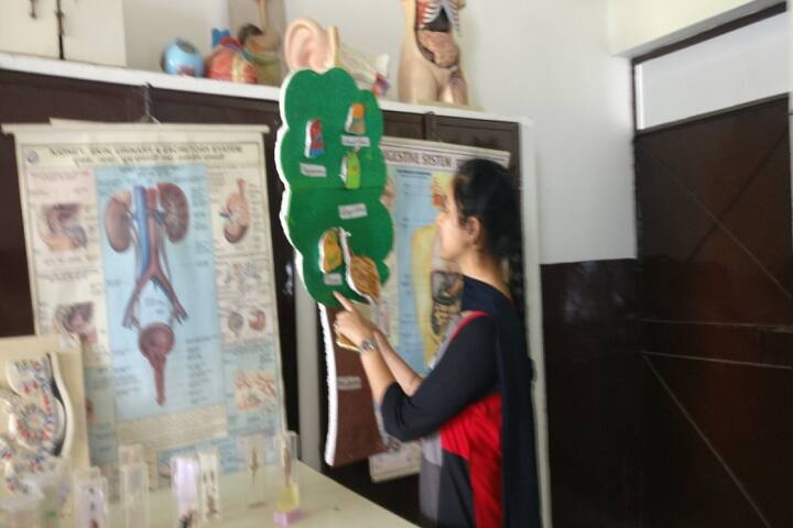 Swami Dayamuni Vidyapeeth College of Education, Rohtak campus photo 6