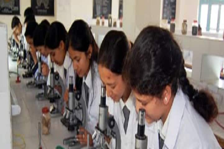 Abhilashi College of Education, Mandi campus photo 3