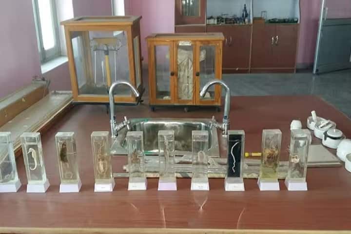 B Ed Teacher Training College, Khagaria campus photo 4