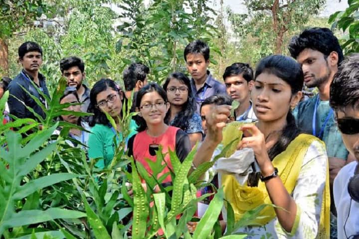 Sri Vatsa College of Education, Mettamalai campus photo 3