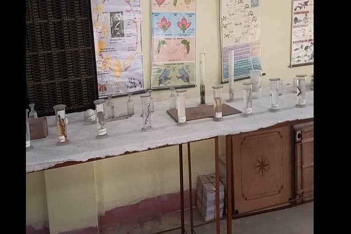 Nageena Ramdhyan Shikshak Shiksha Mahavidyalaya, Sheohar campus photo 4