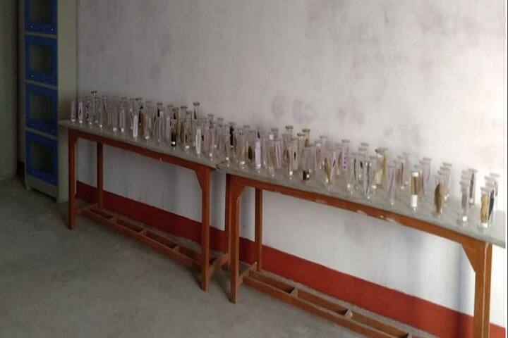 SJ Institute of Pharmacy, Kanpur campus photo 3