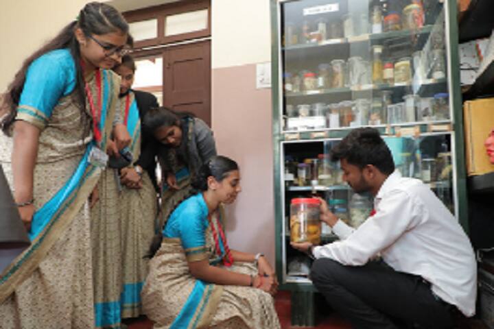 ML Manjaiah Setty Narasimha Setty College of Education, Chikmagalur campus photo 4