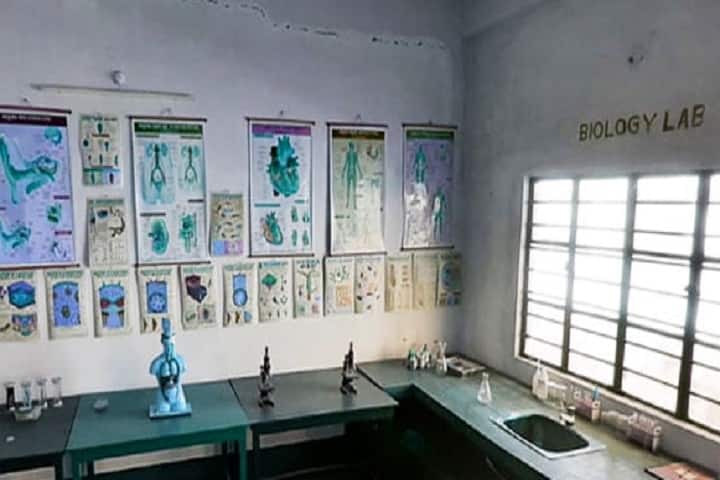 Siliguri Terai B Ed College, Darjeeling campus photo 3