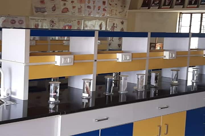 AVS College of Education, Tarikere campus photo 5
