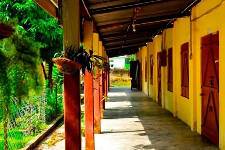 Government College of Teacher Education, Tezpur campus photo 2