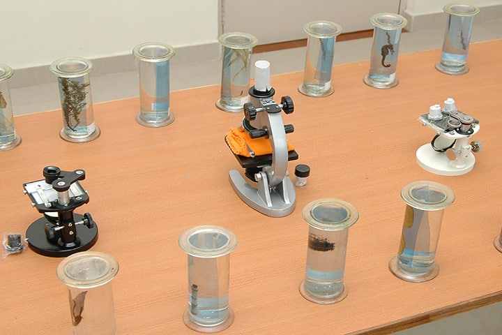 Indian College of Education, Vellore campus photo 6