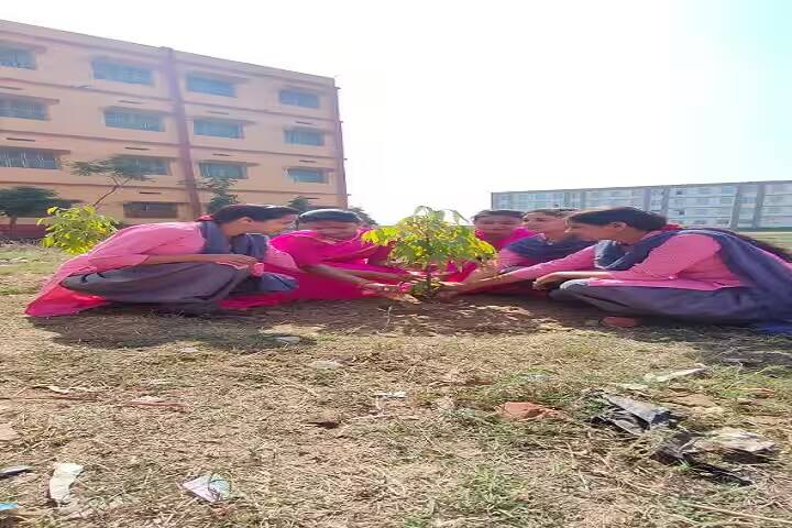JP Shikshak Prashikshan Mahavidyalaya, Samastipur campus photo 4