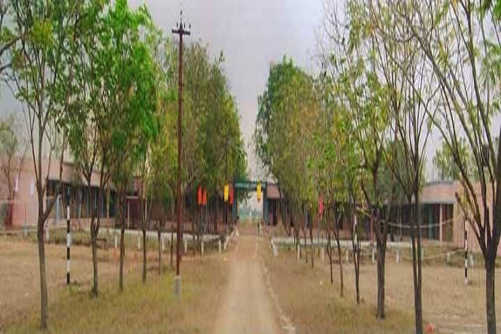 Sai Deepthi College of Physical Education, Guntur campus photo 2