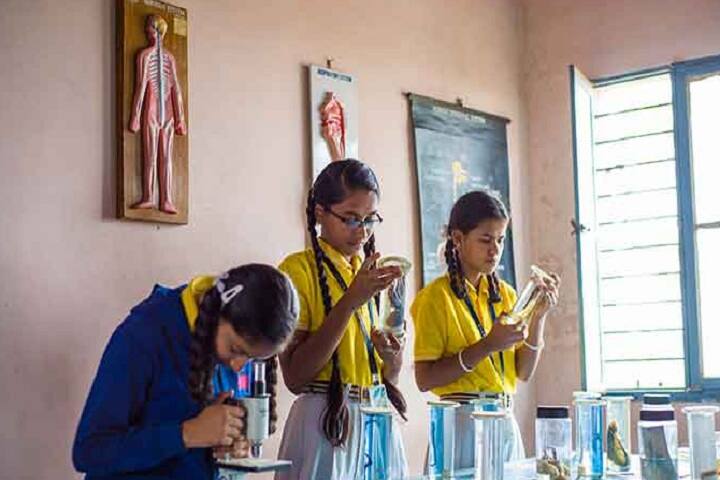 Sri Shambulingeshwara College of Physical Education, Mandya campus photo 5