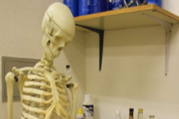 Merchant Physiotherapy College, Mehsana campus photo 2