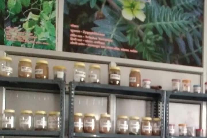 Uttarakhand Ayurvedic College, Haldwani campus photo 4