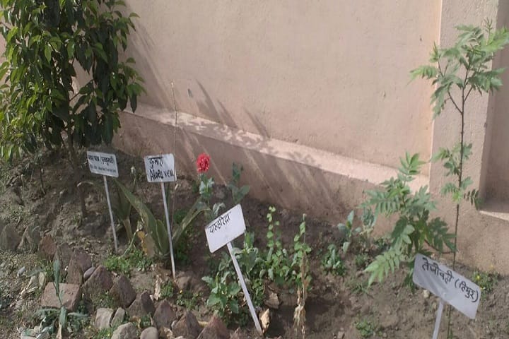 Uttarakhand Ayurvedic College, Haldwani campus photo 5